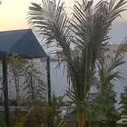 عرض اليوم الوطني في استراحة الوارفة