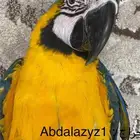 فرخ مكاو