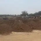 صبيز ردميات