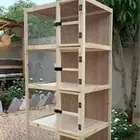شبك طيور