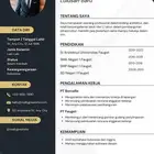 سي في احترافي