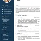 Cv بأسعار رمزيه