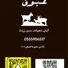لبن ماعز طازج