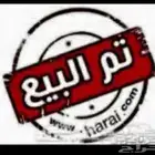 طلي نجدي