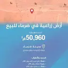 للبيع أرض زراعية في ضرماء 50.960م