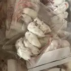 علف للزواحف والجوارح ( بنكي - فزي - فار - جرذ -