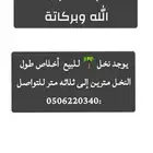 السلام عليكم يوجد نخل أخلاص كفو للبيع طوله مترين إلى ثلاثه