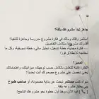 جاهز تبدأ مشروعك
