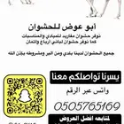حوار لباني شراكه ارباع واثمان
