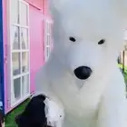 دمى هوائية للعروض مميزة صناعة المانية