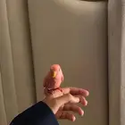 طير روز وردي