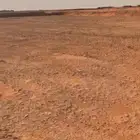 عقم للبيع قصيعه الخرج