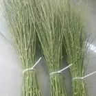 مرخ للحنيذ والمندي