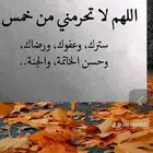 ضروبه للبيع على جميع الشروط