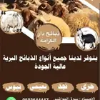 ذبايح دار الكرامه