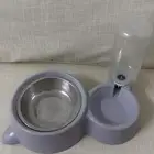 صحن اكل للقطط
