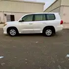 صالون 2013