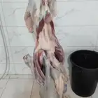 طليان مع ذبح وتوصيل