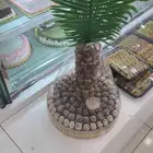 يوجد قهوجيين وصبابين وقهوجيات وصبابات داخل الرياض وخارجها