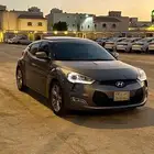 فيلوستر نظيف 2013