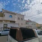 شد رحلات ديماكس من طيور الحباري
