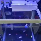 حوض سمك مقاس وسط يعي 5 لتر ماء للبيع