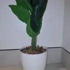شجرة صناعية