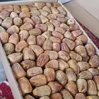 تمر سكري مفتل وجلكسي توصيل للرياض مجاني
