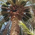 الي عنده مزرعه مهجور و يشتي يضبط ها ماعليه سوا اتواصل