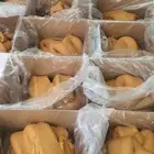 عجينة التمر