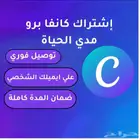 كانفا برو مدي الحياة canva pro