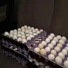 بيض بلديي طازج للاكل ويصلح للفقاصه .