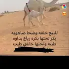للبيع خلفه موقعها صياهد رماح