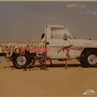 صورة بر مع جيب شاصي