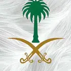 توصيل مشاوير