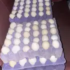بيض بلدي