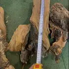 حطب خوخ للبيع
