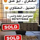 لوحة مميزة عنق ع ن ق تم البيع