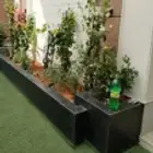 تنسيق حدائق
