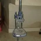 القنفذه القوز