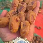 تمور القرنه  الجله اشيقر