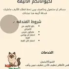 فندقه للقطط
