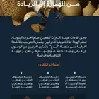 مصممة جرافيك ديزاين