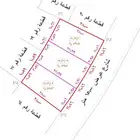 فرصة ذهبية