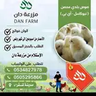 صوص بلدي