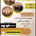 متوفر جميع أنواع الذبايح