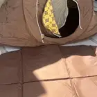 للبيع خيمة مبيت مبطنة