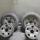 جنوط بالد