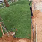 تنسبق حدائق وتوريد وتركيب نجيل الثيل