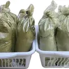 حناء وسدر المزرعه